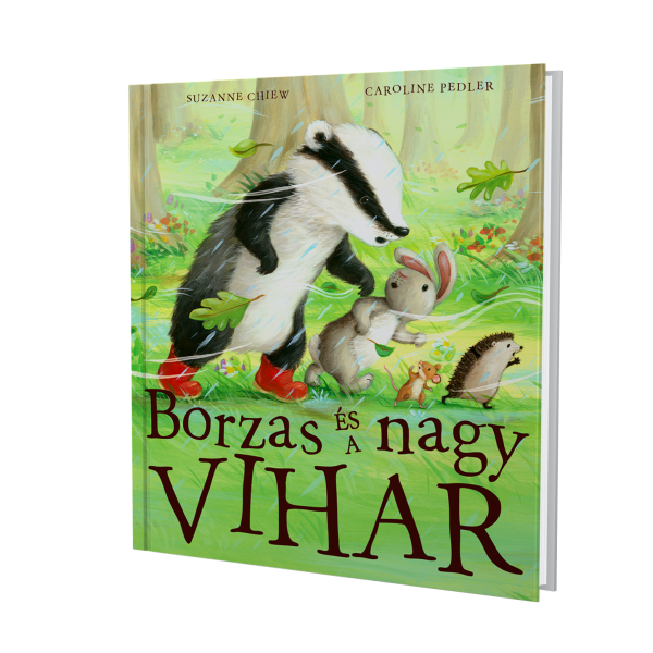 Borzas és a nagy vihar
