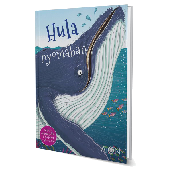 Hula nyomában Hula nyomában